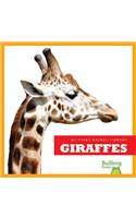 Giraffes