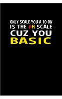 PH Scale Cuz You Basic: Hangman Puzzles - Mini Game - Clever Kids - 110 Lined pages - 6 x 9 in - 15.24 x 22.86 cm - Single Player - Funny Great Gift