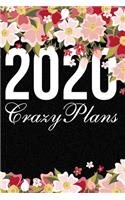 2020 Crazy Plans