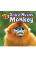 Snub-Nosed Monkey