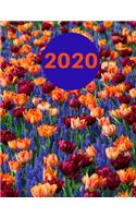 2020 Weekly Planner: Agenda Scheduling Pages for Day, Week, Month or Year - Schedule Tasks, Priorities, To-Do's, etc. Flower Design: Tulip Cover: Customizable Daily Plan