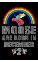 Moose Are Born In December 2