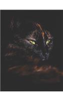 Black Cat Black Paper Notebook: Beautiful Blank Lined Composition Notebook for Taking Notes - Use with Colored Pencils, Metallic Markers, Gel & Ink Pens - Large College Ruled Black