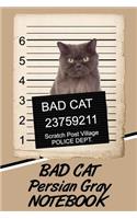 Bad Cat Persian Gray Notebook