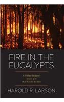 Fire in the Eucalypts