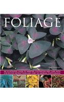Foliage: An Illustrated Guide to Varieties, Cultivation and Care, With Step-by-Step Instructions and over 150 Inspiring Photographs