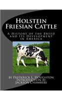 Holstein Friesian Cattle