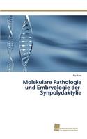 Molekulare Pathologie und Embryologie der Synpolydaktylie