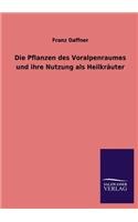 Pflanzen des Voralpenraumes und ihre Nutzung als Heilkräuter