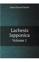 Lachesis lapponica Volume 1: (English)