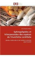 Sphingolipides Et Triterpenoides Des Esp?ces de Triumfetta Cordifolia