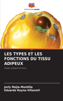 Les Types Et Les Fonctions Du Tissu Adipeux