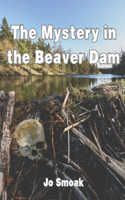 Mystery in the Beaver Dam