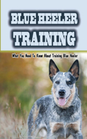 Blue Heeler Training