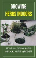 Growing Herbs Indoors