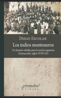 indios montoneros: Un desierto rebelde para la nación argentina (Guanacache, siglos XVIII-XX)