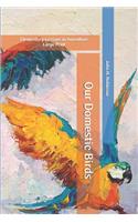 Our Domestic Birds