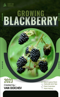 Blackberry