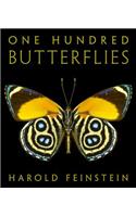 One Hundred Butterflies