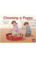 Choosing a Puppy: Leveled Reader Yellow Fiction Level 7 Grade 1