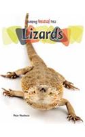 Lizards