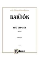Two Elegies, Op. 88