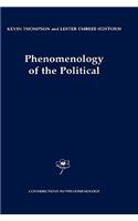 Phenomenology of the Political