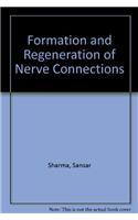 Formation and Regeneration of Nerve Connections