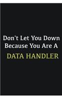 Don't let you down because you are a Data handler