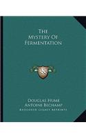 Mystery Of Fermentation