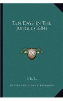 Ten Days In The Jungle (1884)