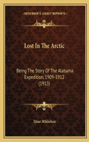 Lost In The Arctic