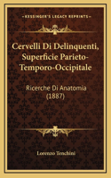 Cervelli Di Delinquenti, Superficie Parieto-Temporo-Occipitale: Ricerche Di Anatomia (1887)