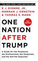 One Nation After Trump