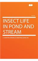 Insect Life in Pond and Stream