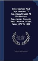 Investigation And Improvement Of American Grapes At The Munson Experiment Grounds Near Denison, Texas, From 1876 To 1900