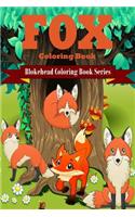 Fox Coloring Book