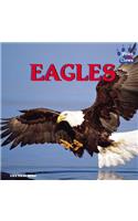 Eagles