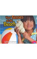 Your Senses at the Beach