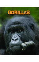 Gorillas