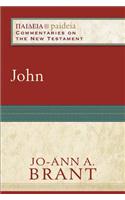 John: (Paideia: Commentaries on the New Testament)