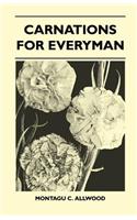 Carnations For Everyman