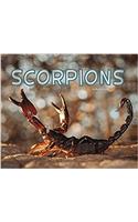 Scorpions