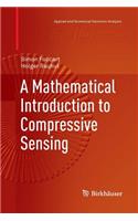 A Mathematical Introduction to Compressive Sensing