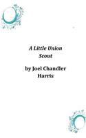 Little Union Scout
