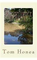 A Confluence Of Rivers: A Story Of The South