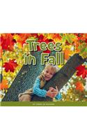 Trees in Fall: (Welcoming the Seasons)