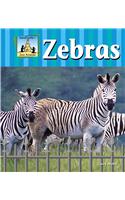 Zebras