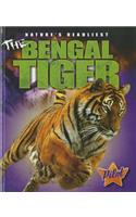 Bengal Tiger