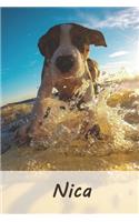 Nica